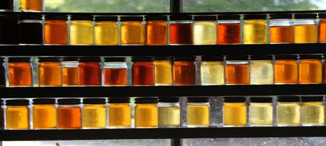 les types de miel commercialisés au Maroc